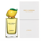 Lemon Fruit Collection by Dolce & Gabbana (Unisex)